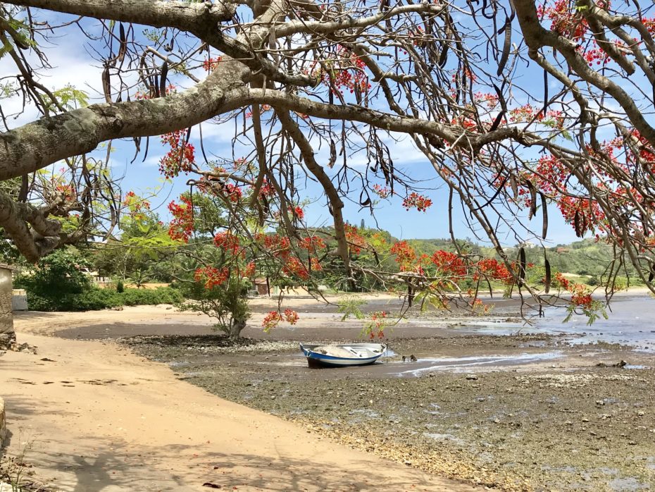 Mangue de Pedra em Búzios