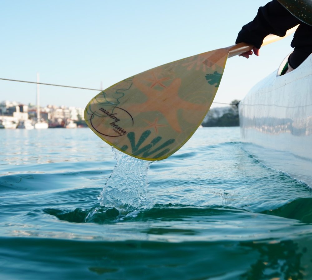 WhatsApp Image 2025-08-19 at 12.35.29