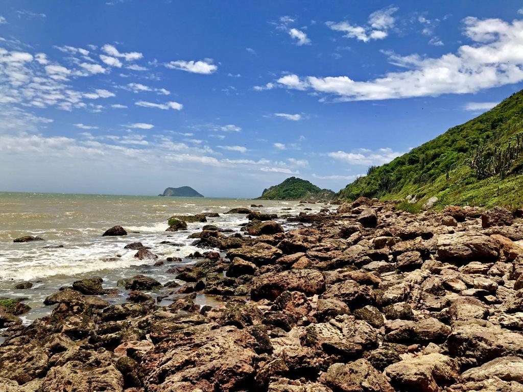 Stone Mangrove and Ponta do Pai Vitório Circuit