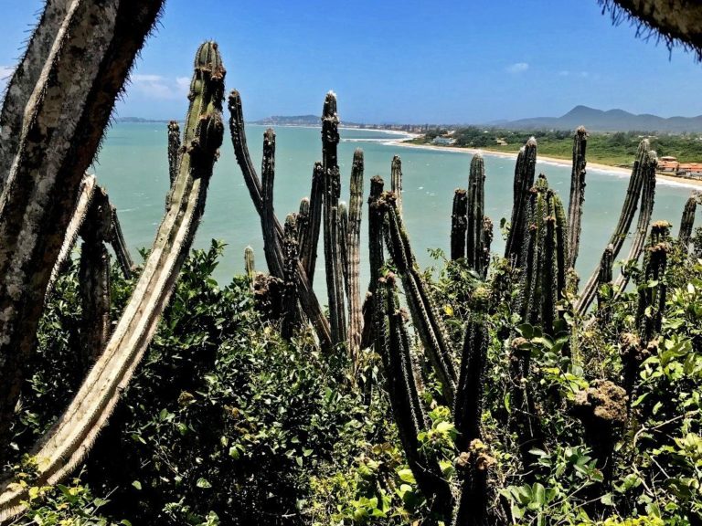 Mangue de Pedras e Ponta do Pai Vitório