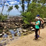 Stone Mangrove in Buzios