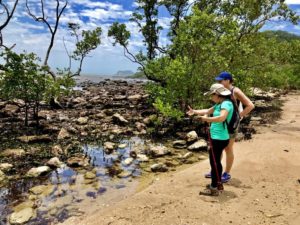 Stone Mangrove in Buzios