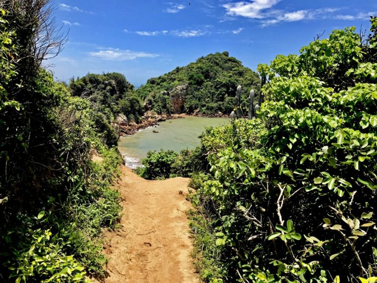 Trilha da Ponta do Pai Vitório