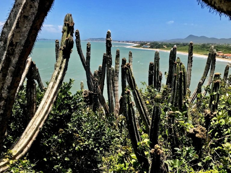 Volta da Ponta do Pai Vitório